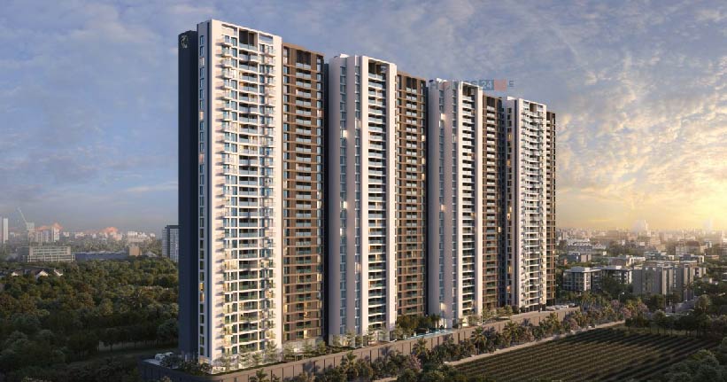 Codename Rise And Shine Cover Image